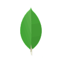 MongoDB